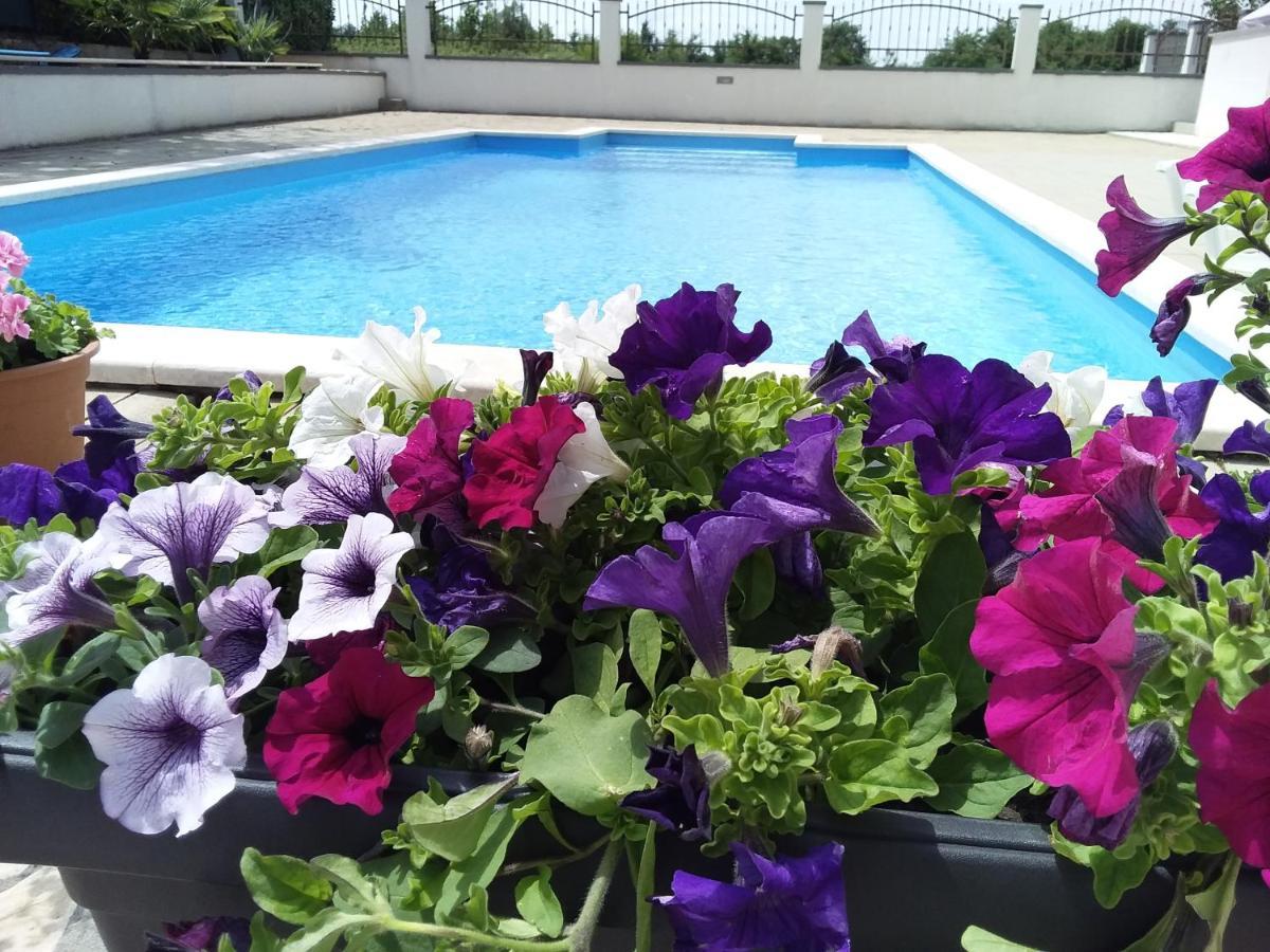 House Apartments Ariamare Porec Ngoại thất bức ảnh