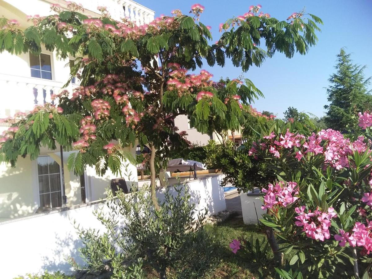 House Apartments Ariamare Porec Ngoại thất bức ảnh