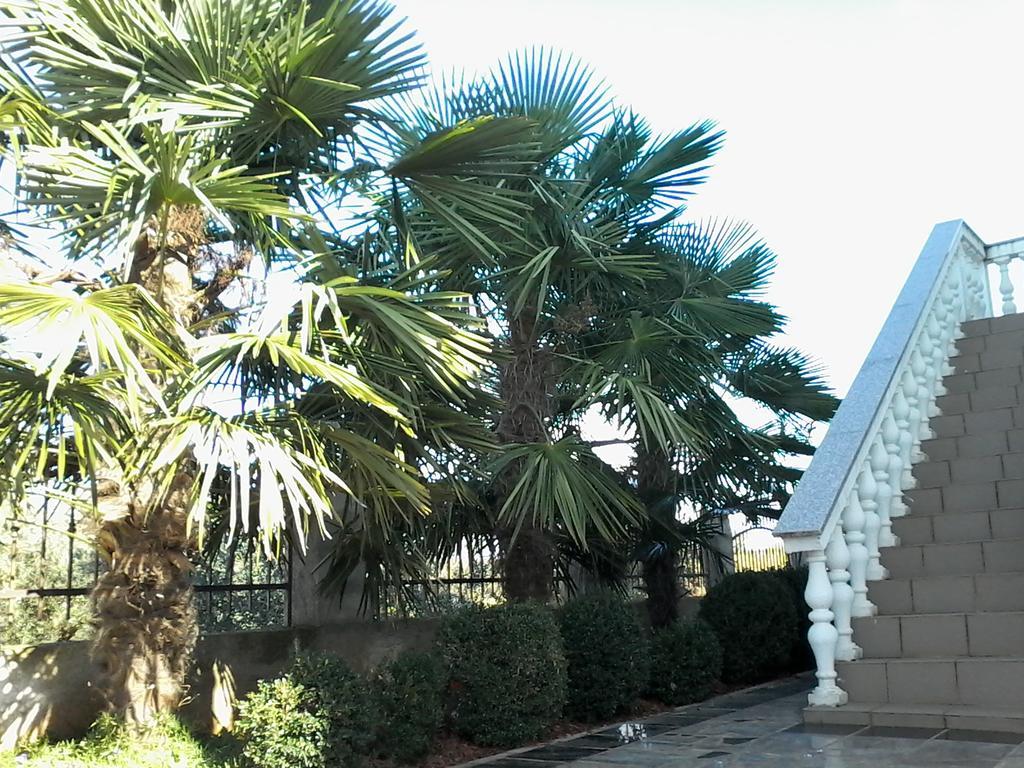 House Apartments Ariamare Porec Ngoại thất bức ảnh