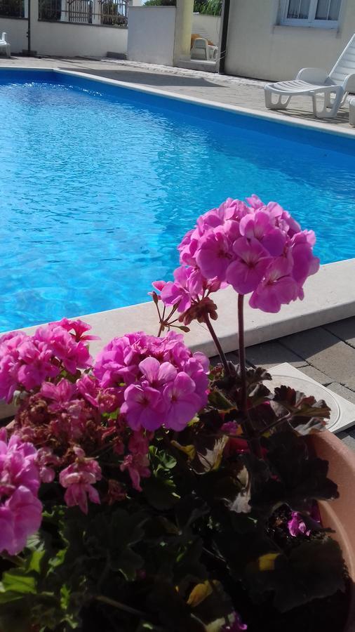 House Apartments Ariamare Porec Ngoại thất bức ảnh